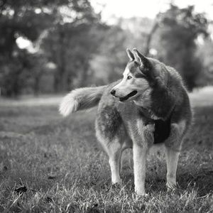 Meet your Posher, Ann